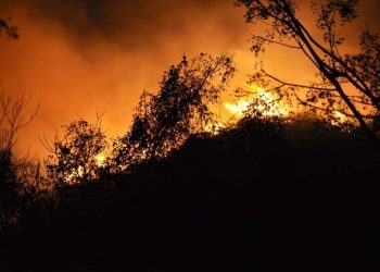 Devetnaest požara u Hercegovini u protekla 24 sata