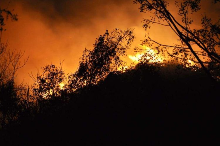 Devetnaest požara u Hercegovini u protekla 24 sata