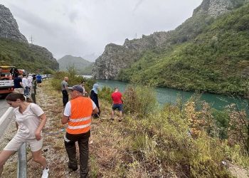Tročlana obitelj umalo sletjela u Neretvu, među putnicima i beba