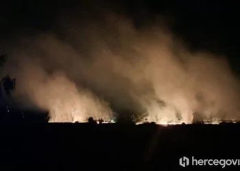 Video: Ljubuški vatrogasci bore se da od požara spase stado krava