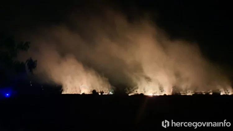 Video: Ljubuški vatrogasci bore se da od požara spase stado krava