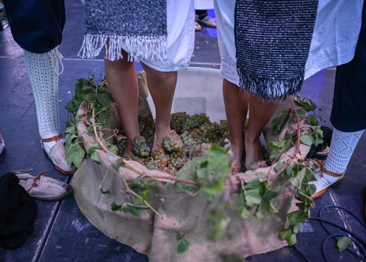 Održana središnja svečanost manifestacije „Dani berbe grožđa Brotnjo 2024.”