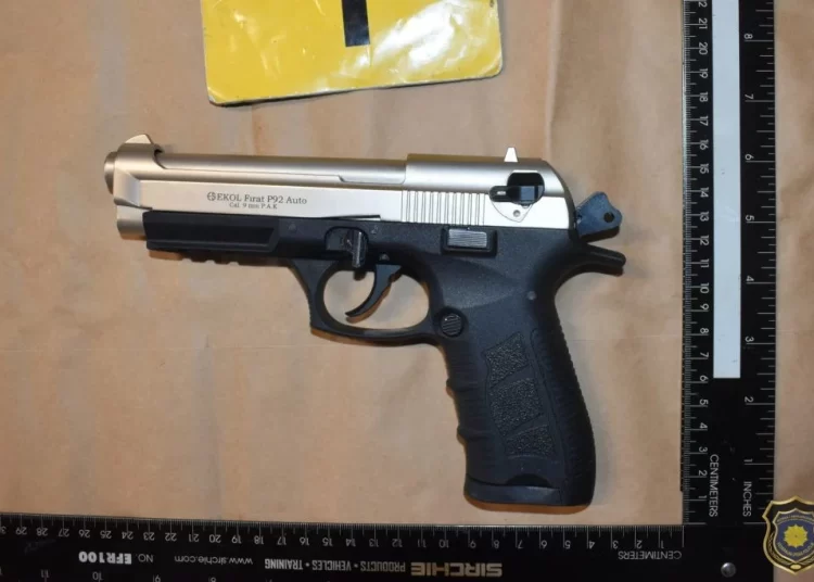 Čapljinac uhićen zbog proizvodnje droge i nedozvoljenog oružja