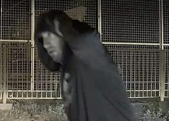 Igor Krezić napadnut u Mostar