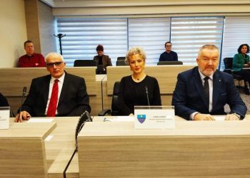 HDZ 1990: Jesu li zaboravljene Alićeve riječi da su Hrvati podstanari u BiH? Mi nismo