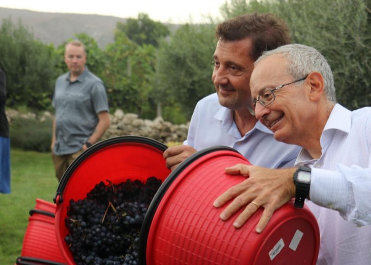 Tradicionalna manifestacija ‘Berba 2024‘ u Mostaru okupila diplomatski zbor i domaće dužnosnike