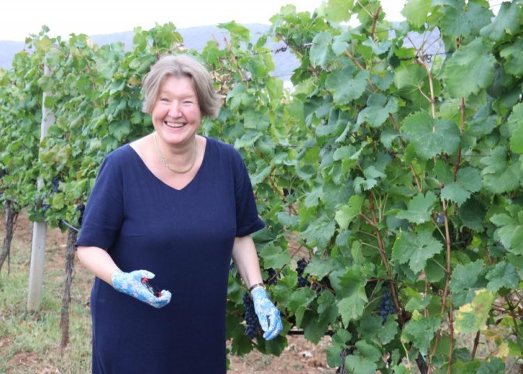 Tradicionalna manifestacija ‘Berba 2024‘ u Mostaru okupila diplomatski zbor i domaće dužnosnike