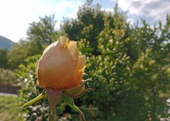 Evo kakvo nas vrijeme očekuje do kraja mjeseca