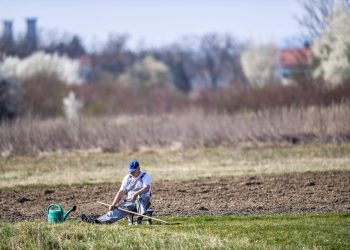Zbog nepostojanja navodnjavanja u BiH propada i do 70 posto prinosa hrane