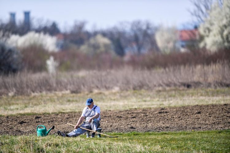 Zbog nepostojanja navodnjavanja u BiH propada i do 70 posto prinosa hrane