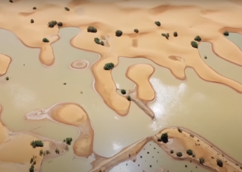 Sahara je poplavljena prvi put u pola stoljeća. Pogledajte zadivljujući prizor koji se rijetko viđa