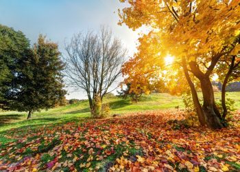 Tjedan pred nama: Bit će toplo, do 25 stupnjeva