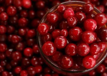 Brusnice i proizvode od brusnica trebalo bi često jesti. Evo nekoliko razloga zašto