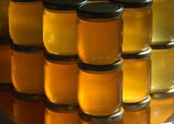 Je li med postao luksuz? Tegla košta i do 30 KM