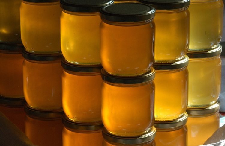 Je li med postao luksuz? Tegla košta i do 30 KM