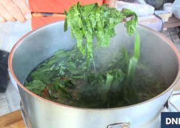 13. izdanje Raštikijade u Grudama