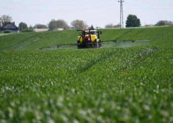 U BiH blokirana kontrola hrane na pesticide: Pogledajte što je otkriveno u posljednjoj analizi!