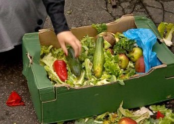 Godišnje se baci gotovo 300 tisuća tona hrane, a svaki šesti stanovnik BiH zaspi gladan