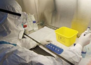 Austrija proglasila rizično područje: Izbila zaraza ptičje gripe