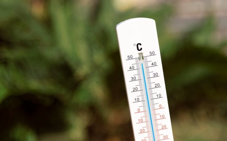 Europski znanstvenici: Ova godina će biti najtoplija od početka mjerenja temperatura