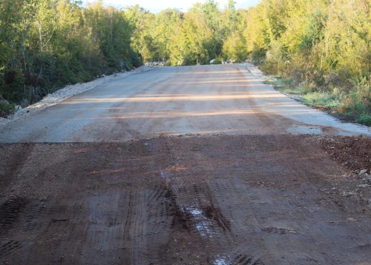 Foto: Dušan Musa - Večernji list