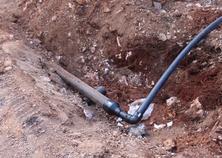 Foto: Dušan Musa - Večernji list