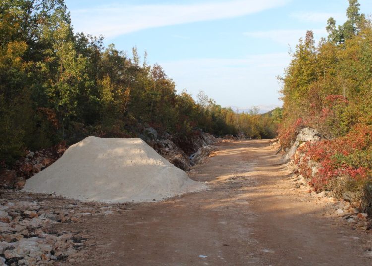 Foto: Dušan Musa - Večernji list