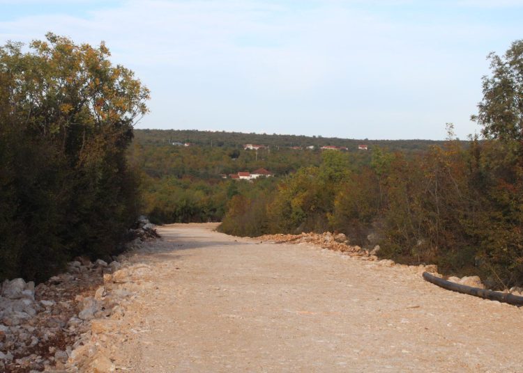 Foto: Dušan Musa - Večernji list