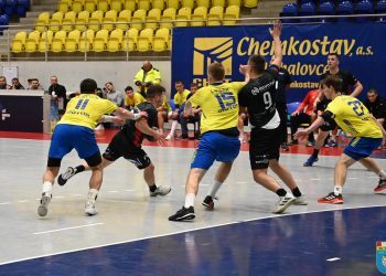 Izviđač bi nakon 11 godina mogao prezimiti u Europi