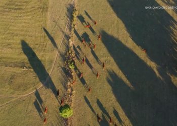 Livanjsko polje – neiskorišteno blago prirode