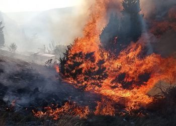 Podmetnut požar iznad Mostara: Viđeno kako netko potpaljuje vatru
