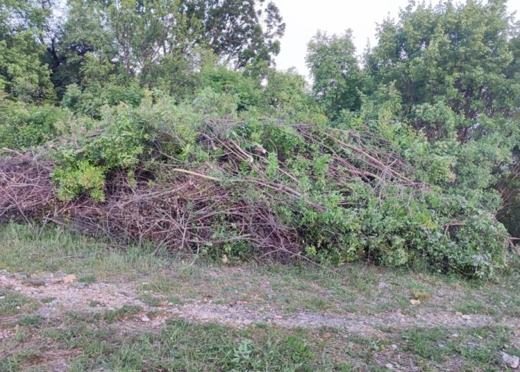 Široki Brijeg: Volontere na bunkeru povezala kultura i edukativna radionica