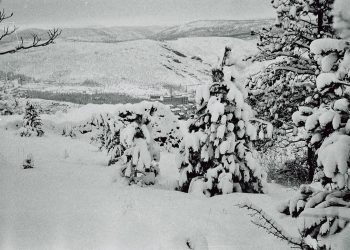 Panorama Širokog Brijega pod snijegom iz 40-ih godina 20. stoljeća