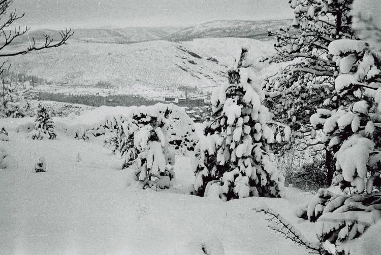 Panorama Širokog Brijega pod snijegom iz 40-ih godina 20. stoljeća