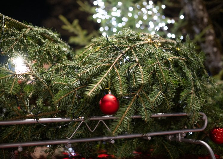 Foto: Advent u Mokrom