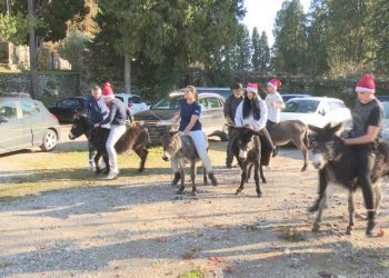 Održana tradicionalna utrka magaraca