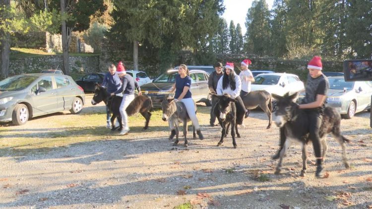 Održana tradicionalna utrka magaraca