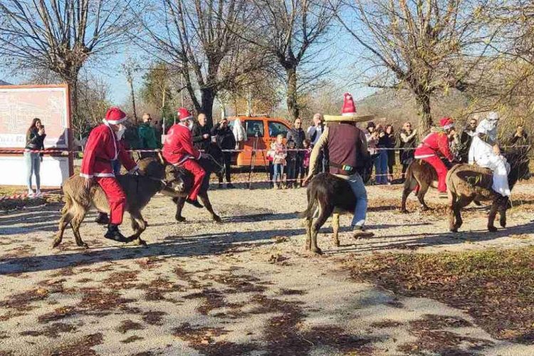 Utrka magaraca u nedjelju u Čapljini