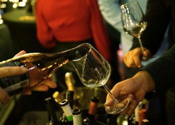 Vinska cesta Hercegovine postala ne samo vinski nego i veliki turistički brend BiH