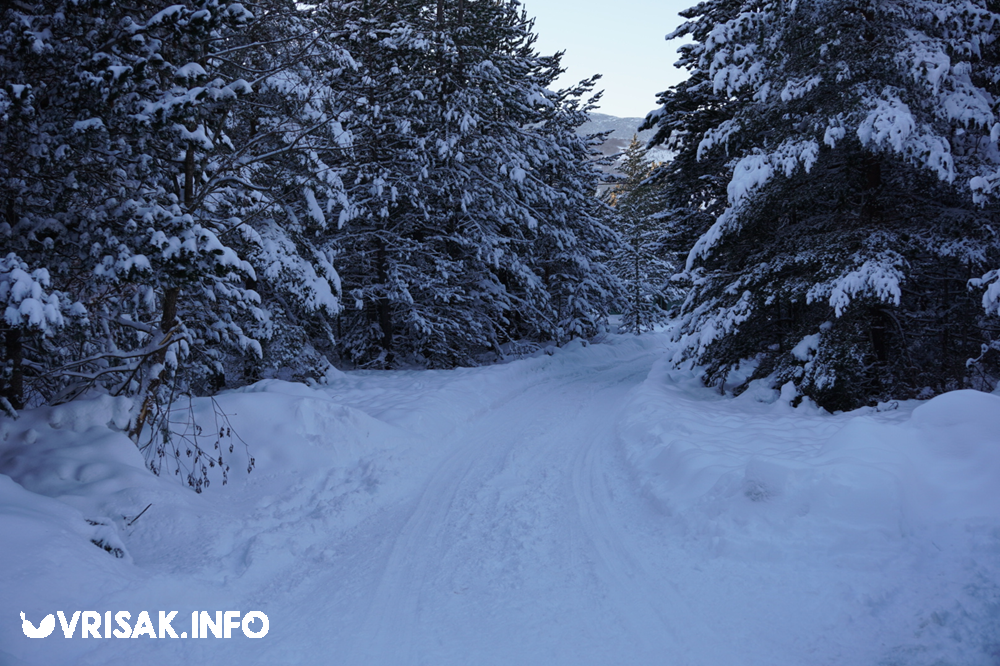 Veliki broj posjetitelja na Blidinju uživao u snježnim radostima