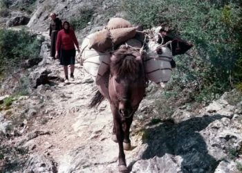 Proljeće 1975. u Širokom Brijegu: Žena s konjem kroz Borak na putu do mlinica