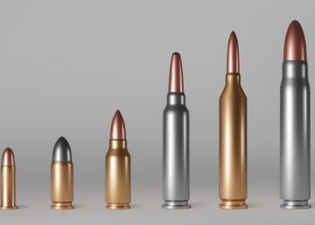 Građani Crne Gore predaju oružje povodom kampanje “”Poštuj život, vrati oružje”