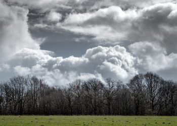 Danas vrijeme – promjenjivo oblačno, sa visokom temperaturom