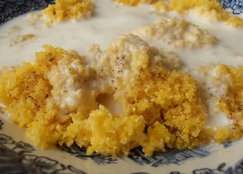 Recept za puru s lučenicom