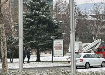 Sarajevo: Migrant napravio “gnjezdo” na stablu: Postavio ležaj i spavao