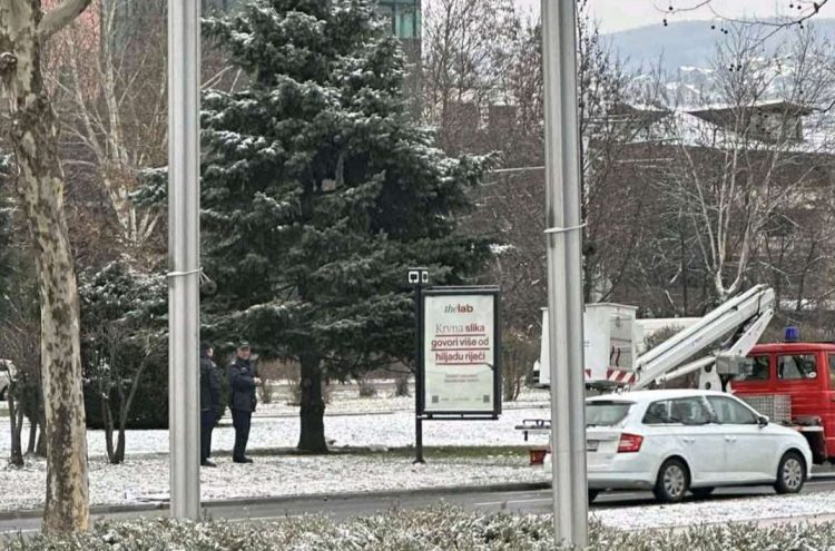 Sarajevo: Migrant napravio “gnjezdo” na stablu: Postavio ležaj i spavao