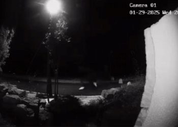 Priveden maloljetnik osumnjičen za napad u Zadru