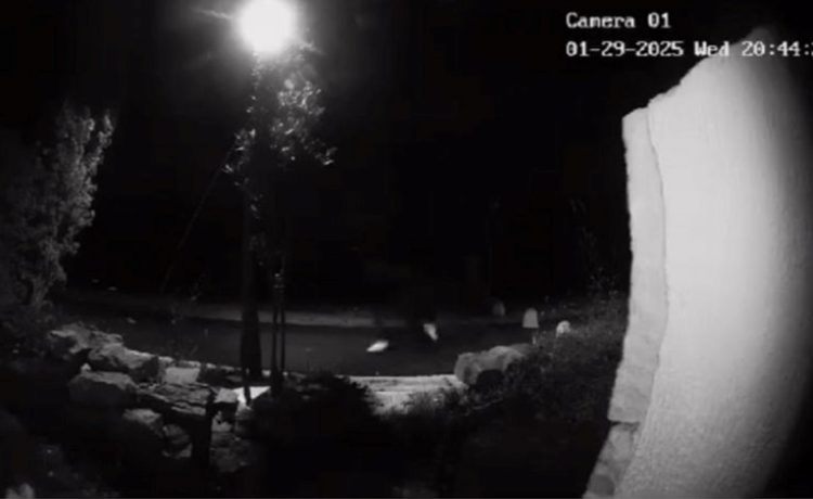 Priveden maloljetnik osumnjičen za napad u Zadru