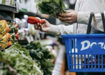 U Federaciji BiH se razmatra mogućnost rada 16 nedjelja u godini