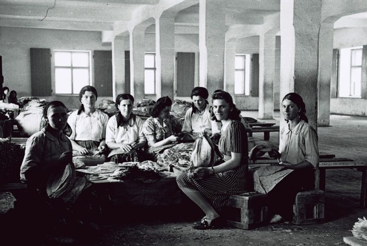 Koliko dobro poznajete hercegovačke izraze?